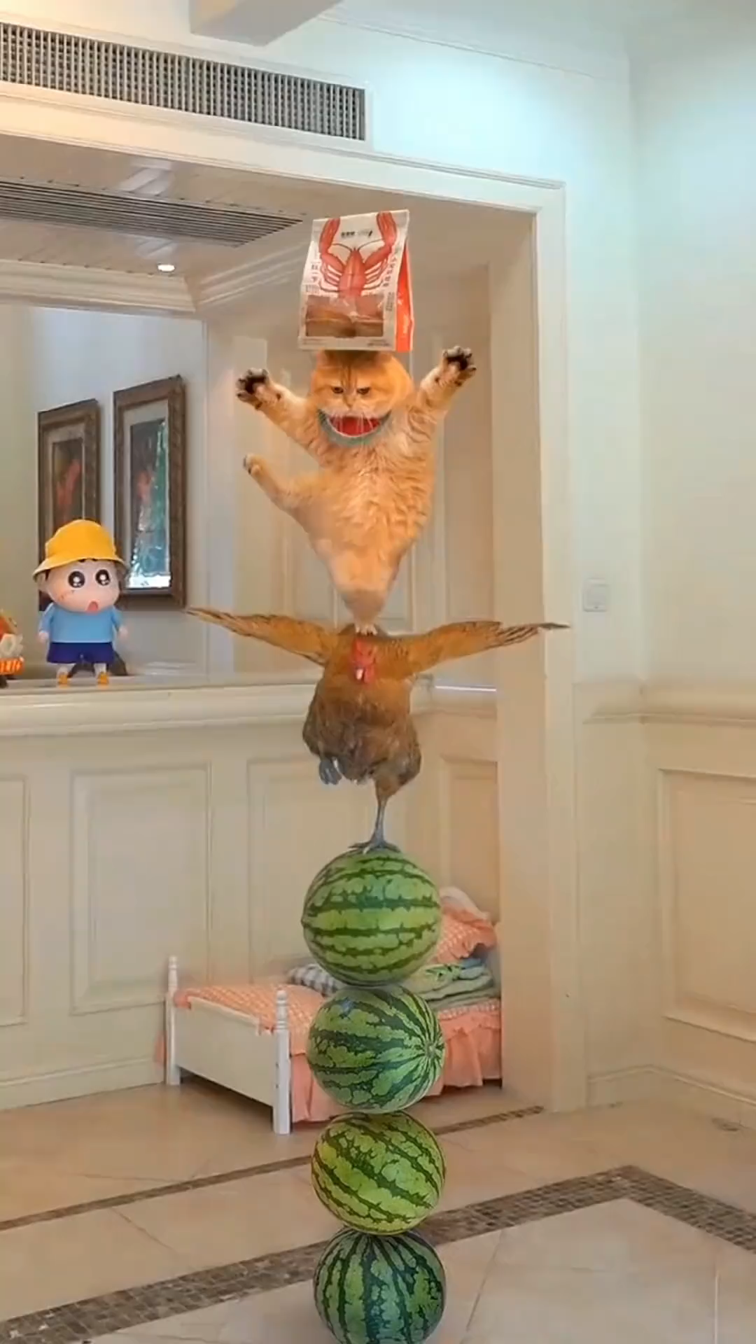 Tell cute girls from all over the world to come and see it