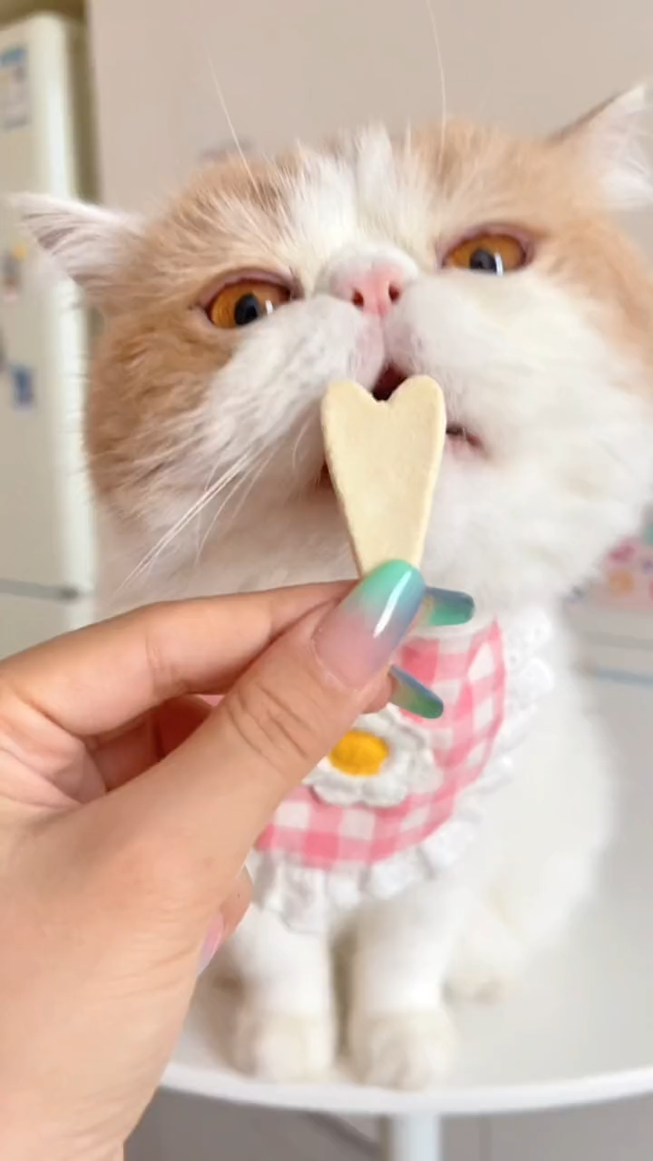 food food food. water water water.