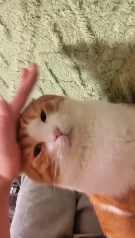 Please watch this video horizontally hh!