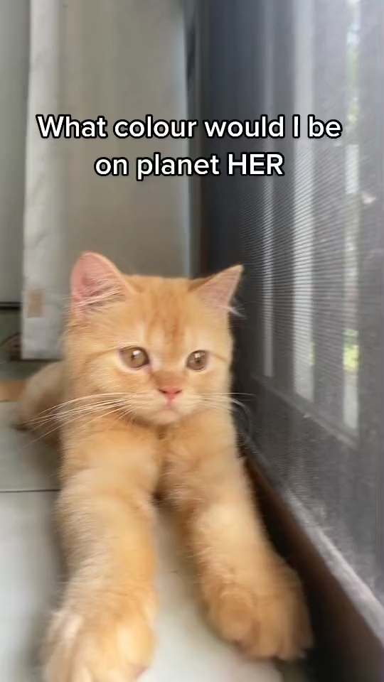 This one better  😂     