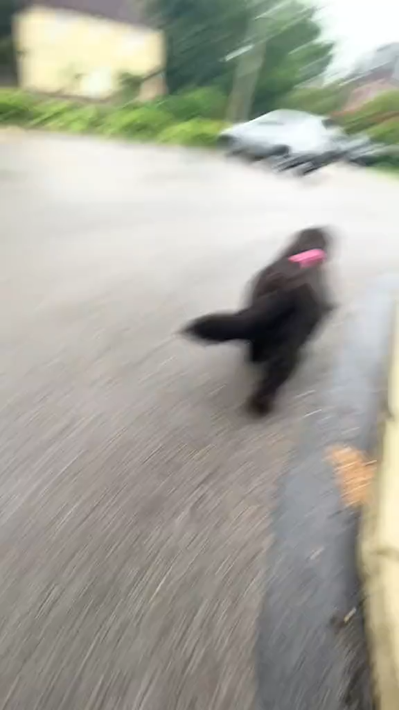 have a great day 🤍 @ice spice     