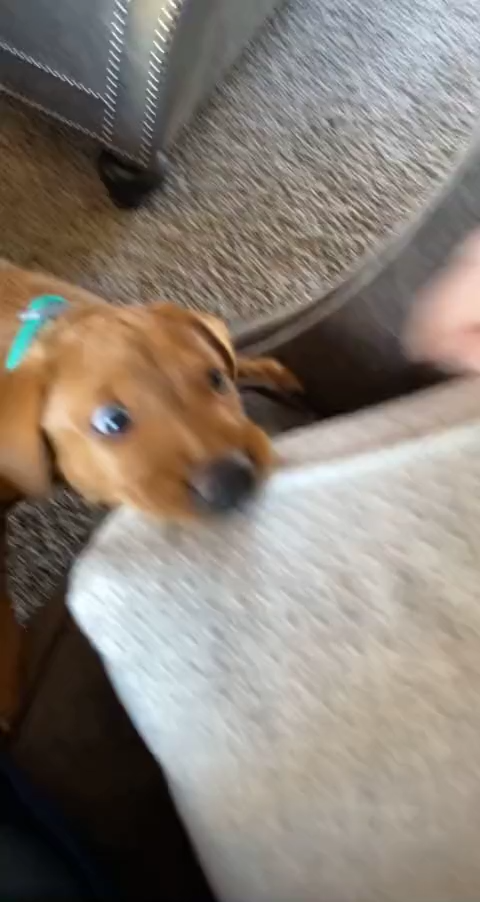 Miss when she used to be so little 😅   